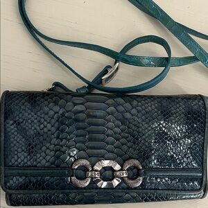 Brighton Teal Snake-Embossed Wearable Wallet